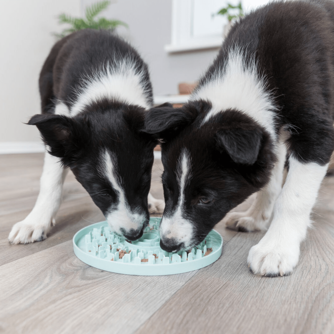 Lick' n' Snack Junior pladenj za počasno hranjenje od Trixie | Na voljo pri Forapet