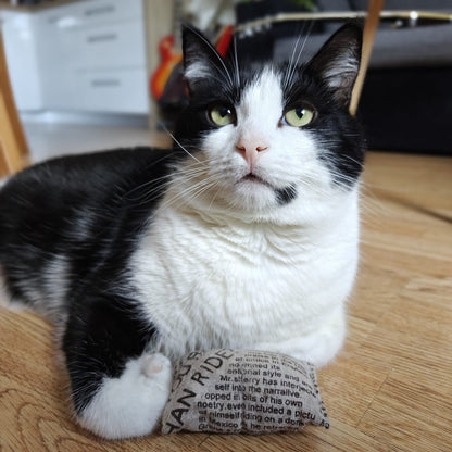 Mačja igrača blazinici z MAČJO METO & MATATABIJEM 2 kos od Ferribiella | Na voljo pri Forapet