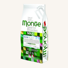 Monge ǀ MAXI ADULT pasji briketi - PIŠČANEC od Monge | Na voljo pri Forapet