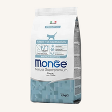 Monge ǀ MONOPROTEINSKI KITTEN mačji briketi - POSTRV od Monge | Na voljo pri Forapet