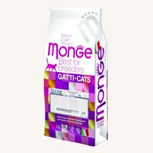 Monge ǀ MONOPROTEINSKI STERILISED mačji briketi - POSTRV od Monge | Na voljo pri Forapet
