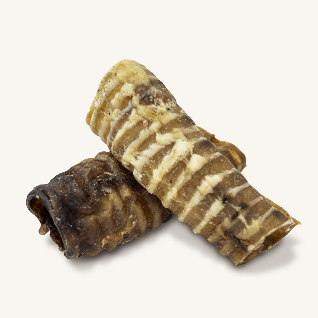 Natural Greatness ǀ goveji sapniki (veliki) 100 g od Natural Greatness | Na voljo pri Forapet