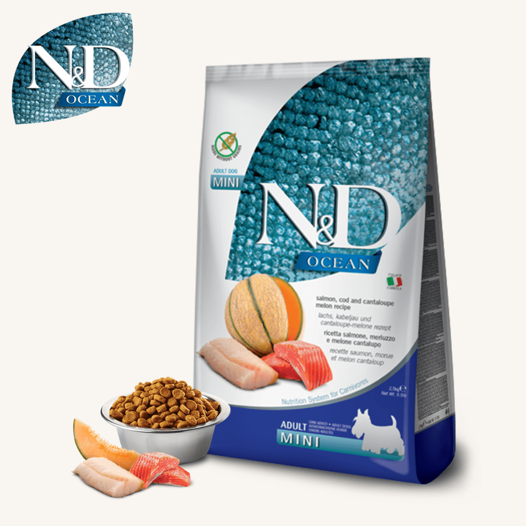 N&D Ocean ǀ MINI pasji briketi - LOSOS & POLENOVKA od N&D Ocean I Farmina | Na voljo pri Forapet