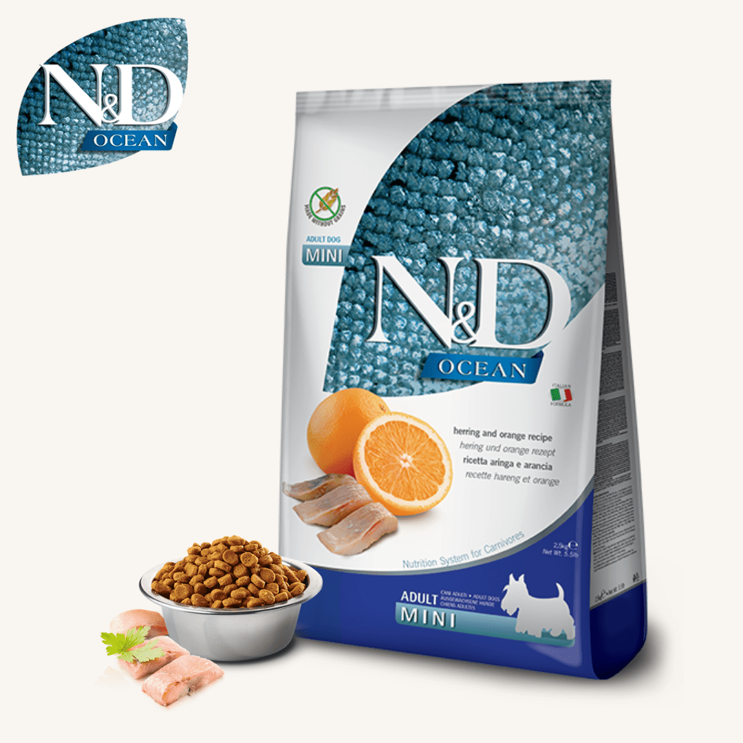N&D Ocean ǀ MINI pasji briketi - SLED od N&D Ocean I Farmina | Na voljo pri Forapet