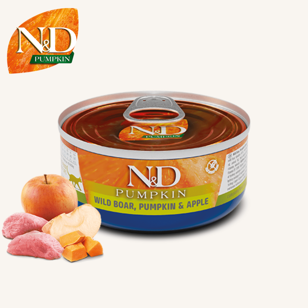 N&D Pumpkin ǀ mačja mokra hrana - DIVJA SVINJA 70 g od N&D Pumpkin I Farmina | Na voljo pri Forapet