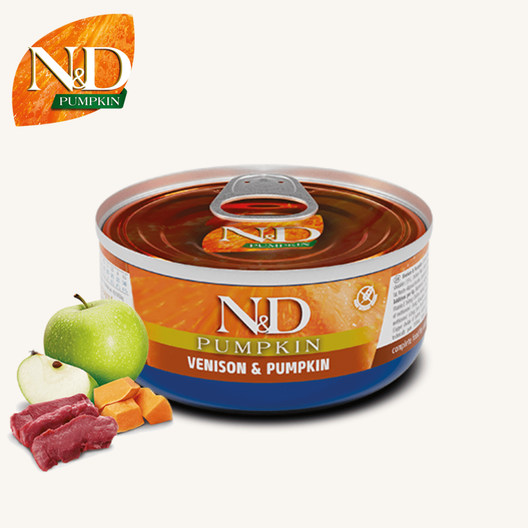 N&D Pumpkin ǀ mačja mokra hrana - DIVJAČINA 70 g od N&D Pumpkin I Farmina | Na voljo pri Forapet