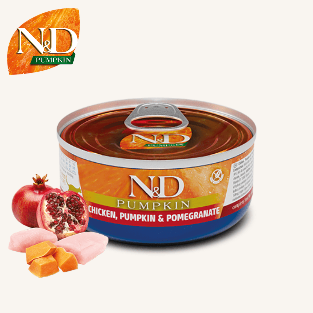 N&D Pumpkin ǀ mačja mokra hrana - PIŠČANEC 70 g od N&D Pumpkin I Farmina | Na voljo pri Forapet