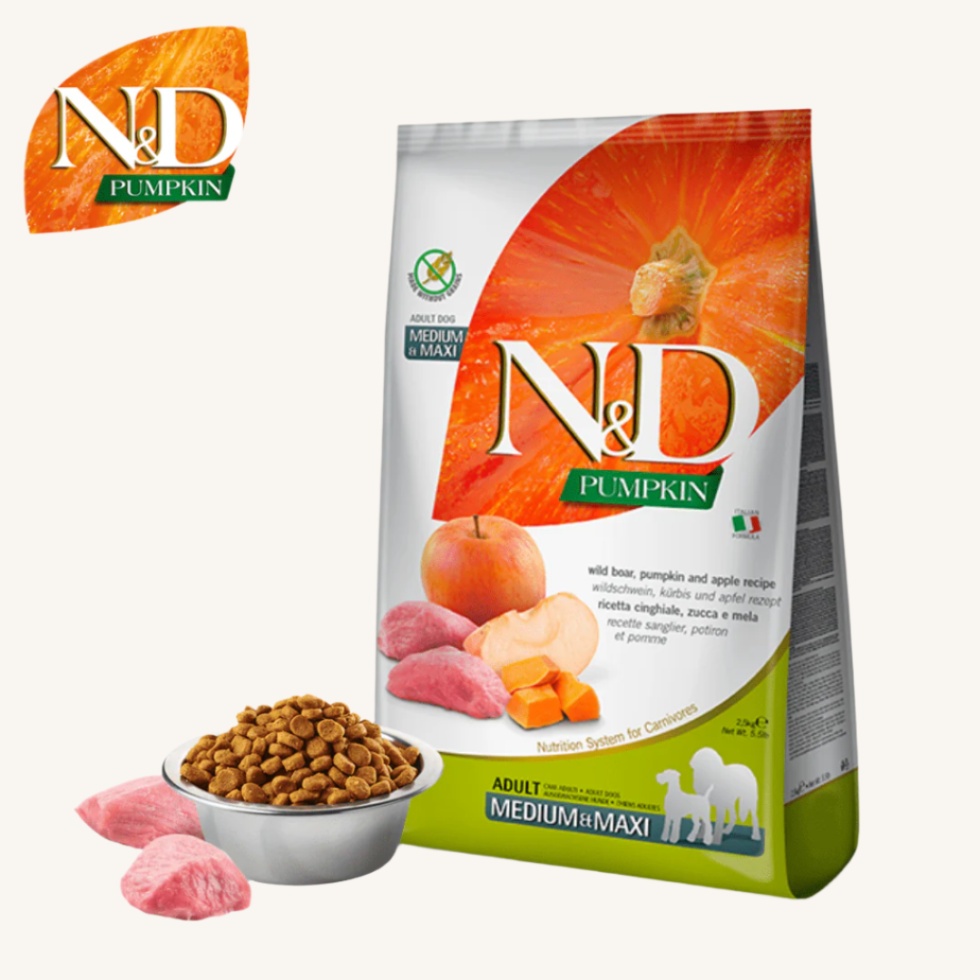 N&D Pumpkin ǀ MEDIUM & MAXI pasji briketi - DIVJA SVINJA od N&D Pumpkin I Farmina | Na voljo pri Forapet