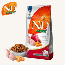 N&D Pumpkin ǀ MEDIUM & MAXI pasji briketi - PREPELICA 12 kg od N&D Pumpkin I Farmina | Na voljo pri Forapet