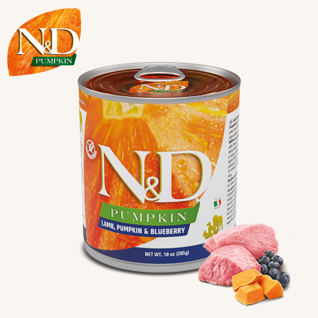 N&D Pumpkin ǀ pasja mokra hrana - JAGNJETINA 285 g od N&D Pumpkin I Farmina | Na voljo pri Forapet