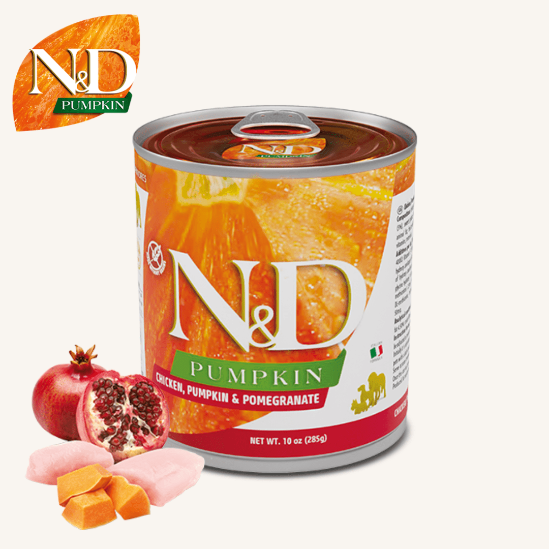 N&D Pumpkin ǀ pasja mokra hrana - PIŠČANEC 285 g od N&D Pumpkin I Farmina | Na voljo pri Forapet