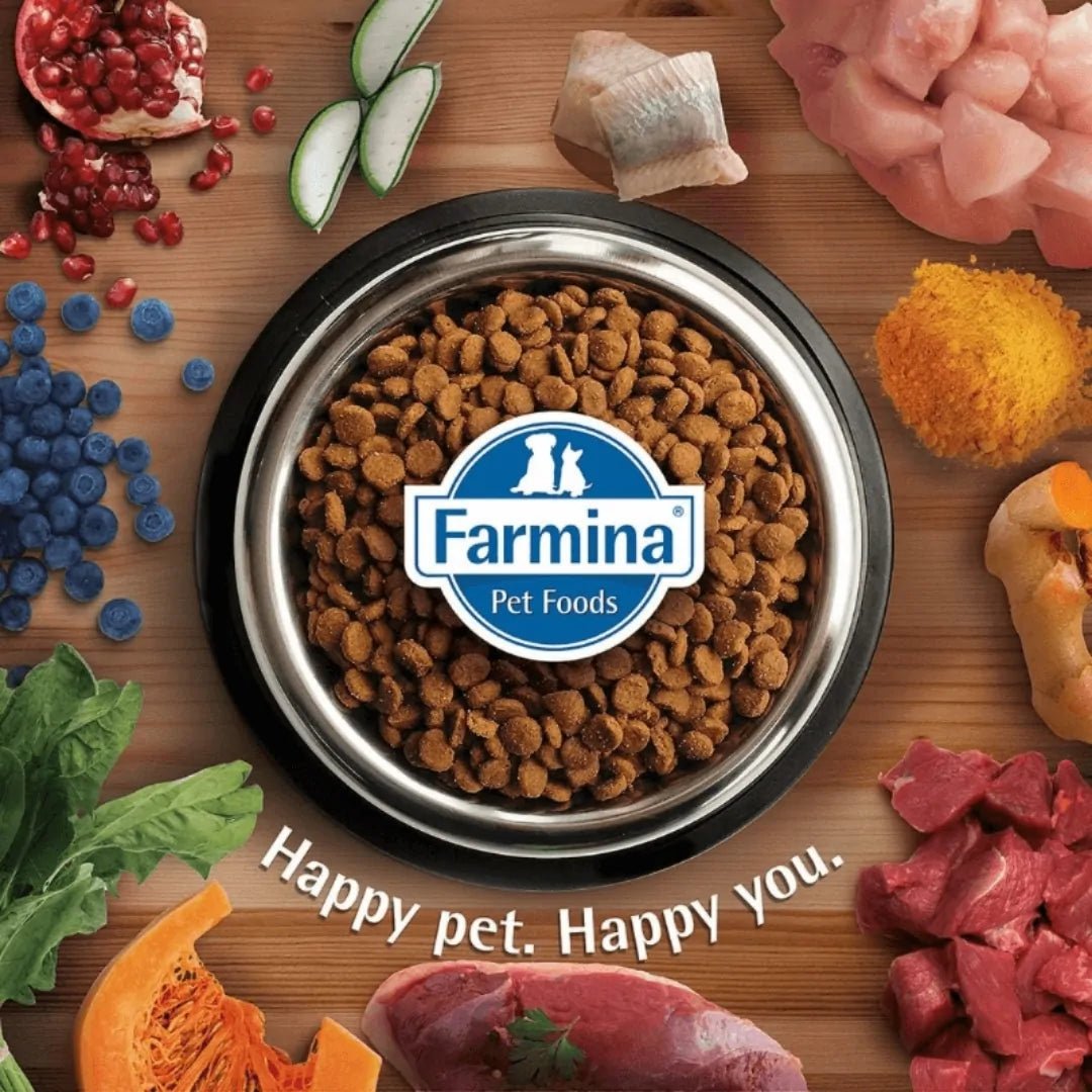 N&D Pumpkin ǀ PUPPY pasja mokra hrana - JAGNJETINA 285 g od N&D Pumpkin I Farmina | Na voljo pri Forapet