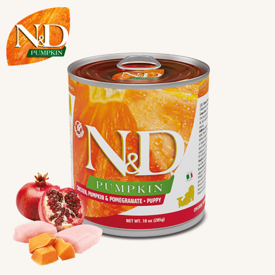 N&D Pumpkin ǀ PUPPY pasja mokra hrana - PIŠČANEC 285 g od N&D Pumpkin I Farmina | Na voljo pri Forapet