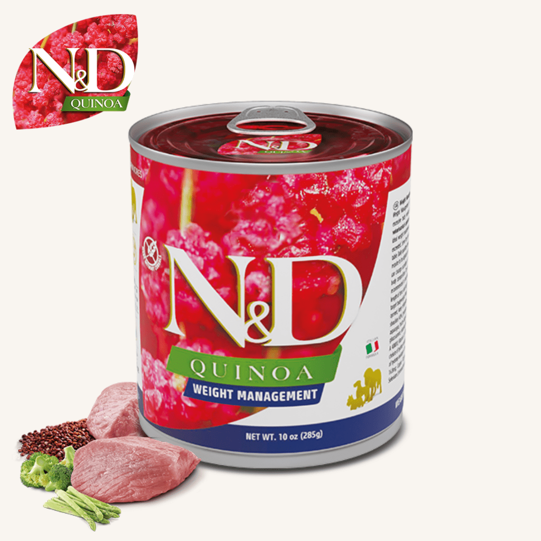 N&D Quinoa ǀ pasja mokra hrana - JAGNJETINA (uravnavanje teže) 285 g od N&D Quinoa I Farmina | Na voljo pri Forapet