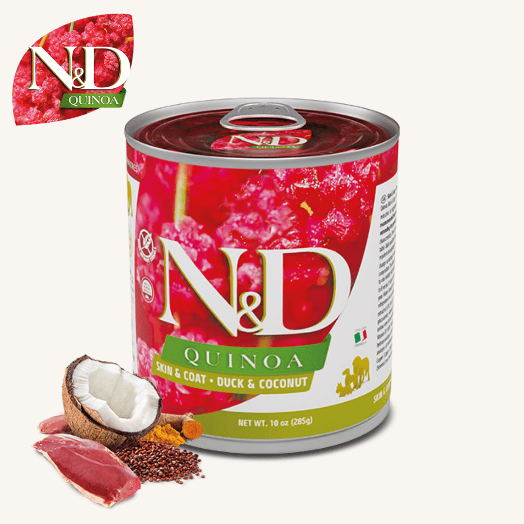 N&D Quinoa ǀ pasja mokra hrana - RACA (podpora koži & dlaki) 285 g od N&D Quinoa I Farmina | Na voljo pri Forapet