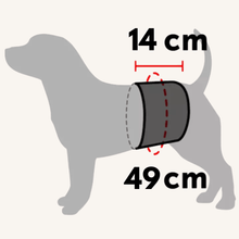 Pas za samce 49 x 14 cm od Beeztees | Na voljo pri Forapet