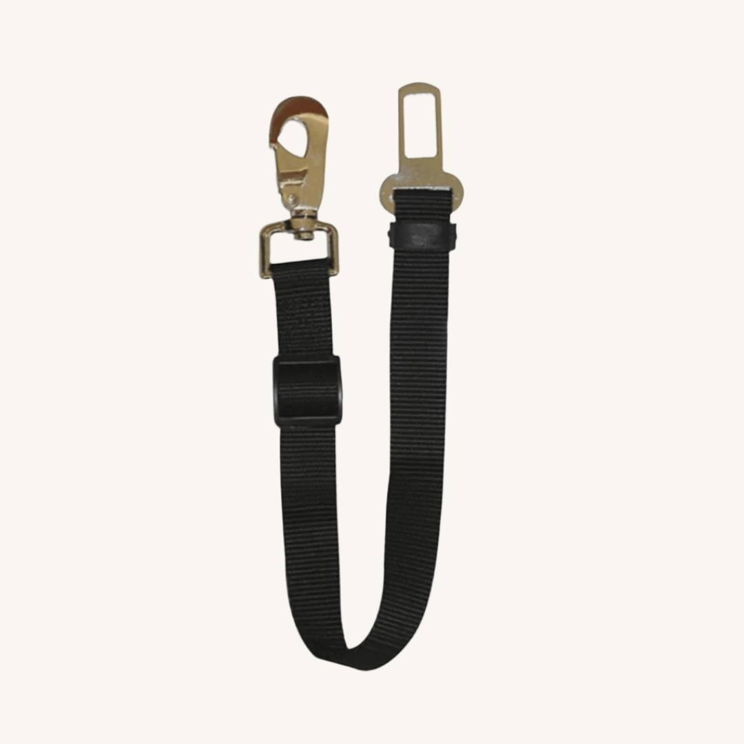 Pas za v avto 46 - 70 x 2 cm od Croci | Na voljo pri Forapet