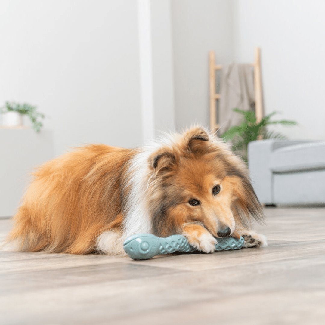 Pasja igrača KAČA 42 cm od Trixie | Na voljo pri Forapet