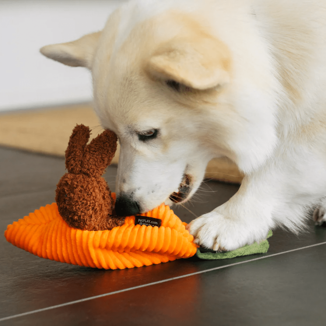 Pasja igrača ZAJČJI BRLOG od P.L.A.Y. | Na voljo pri Forapet