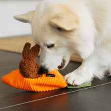 Pasja igrača ZAJČJI BRLOG od P.L.A.Y. | Na voljo pri Forapet