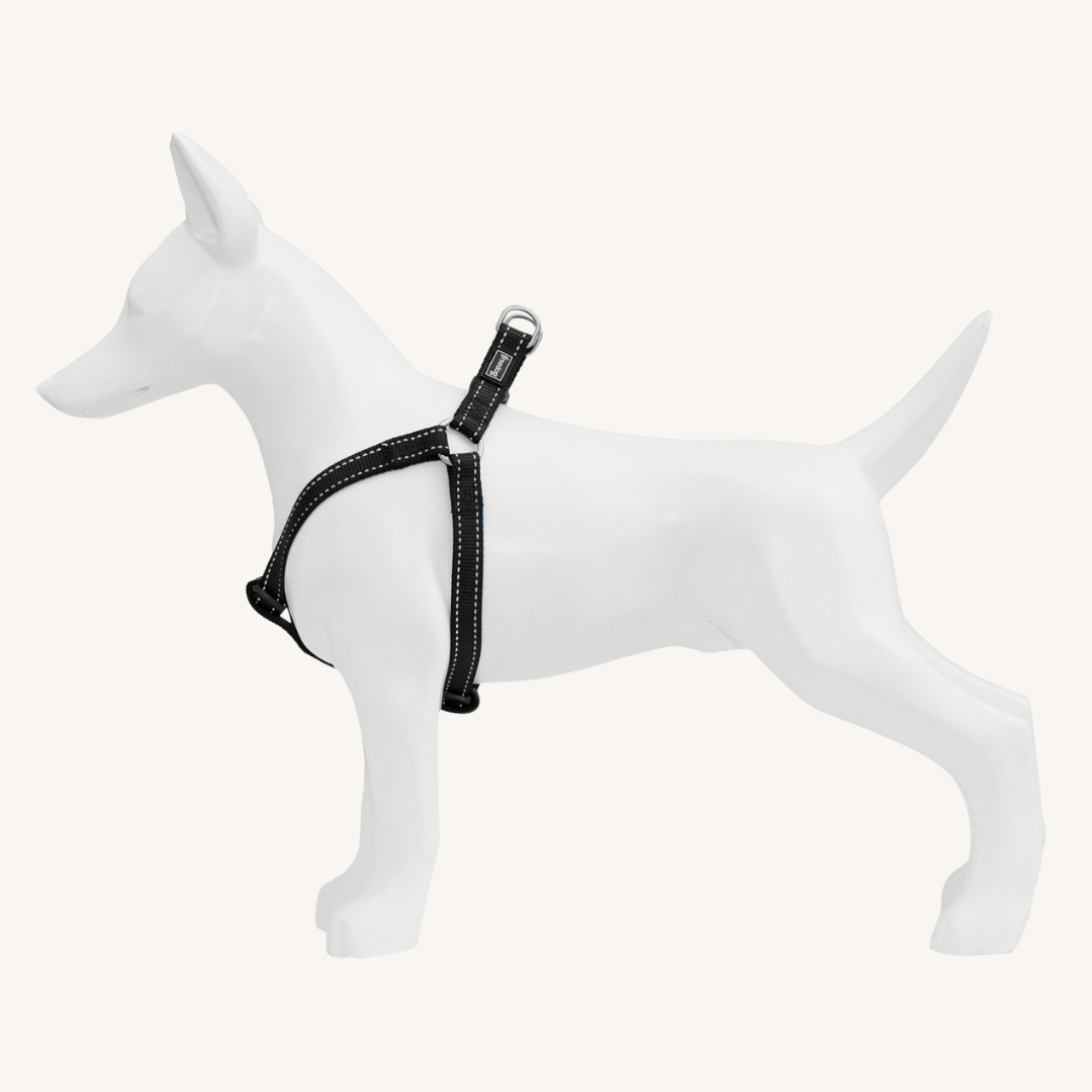 Pasja oprsnica Nylon od Freedog | Na voljo pri Forapet