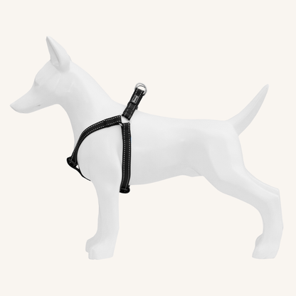Pasja oprsnica Nylon od Freedog | Na voljo pri Forapet