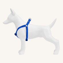 Pasja oprsnica Nylon od Freedog | Na voljo pri Forapet