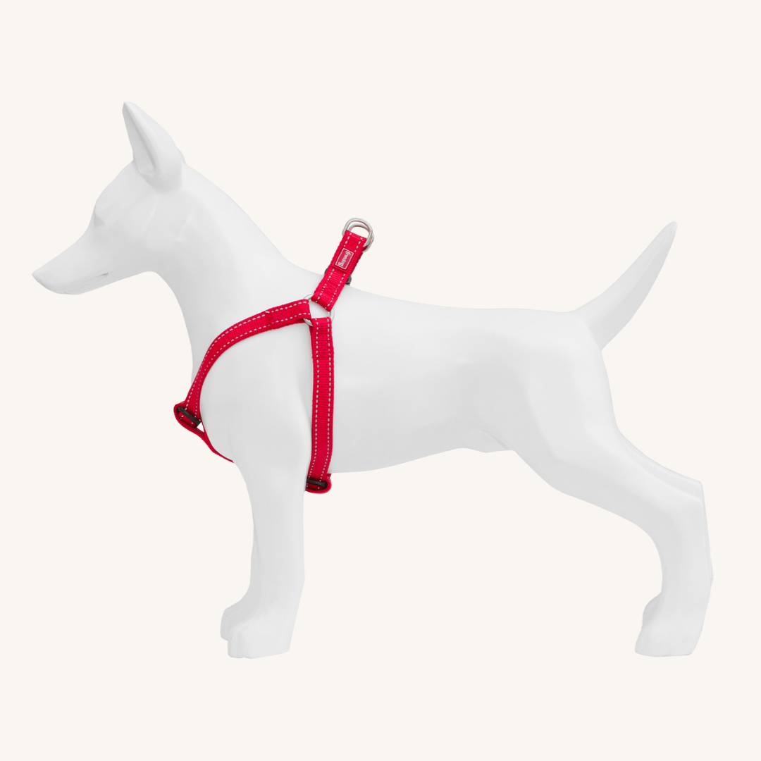 Pasja oprsnica Nylon od Freedog | Na voljo pri Forapet