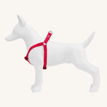 Pasja oprsnica Nylon od Freedog | Na voljo pri Forapet