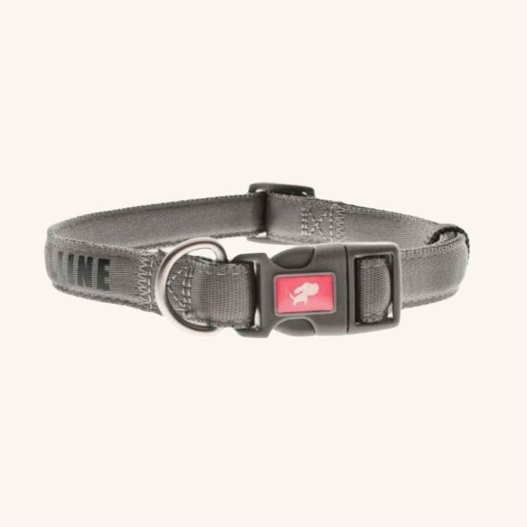 Pasja ovratnica Fuss - Comfort od Ferribiella | Na voljo pri Forapet