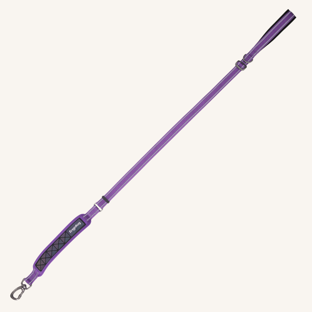 Pasji povodec Boreal 120 - 180 x 1,5 cm od Freedog | Na voljo pri Forapet