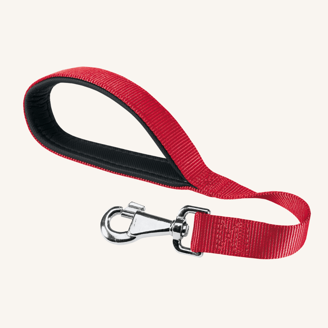 Pasji povodec Daytona 45 x 2,5 cm od Ferplast | Na voljo pri Forapet