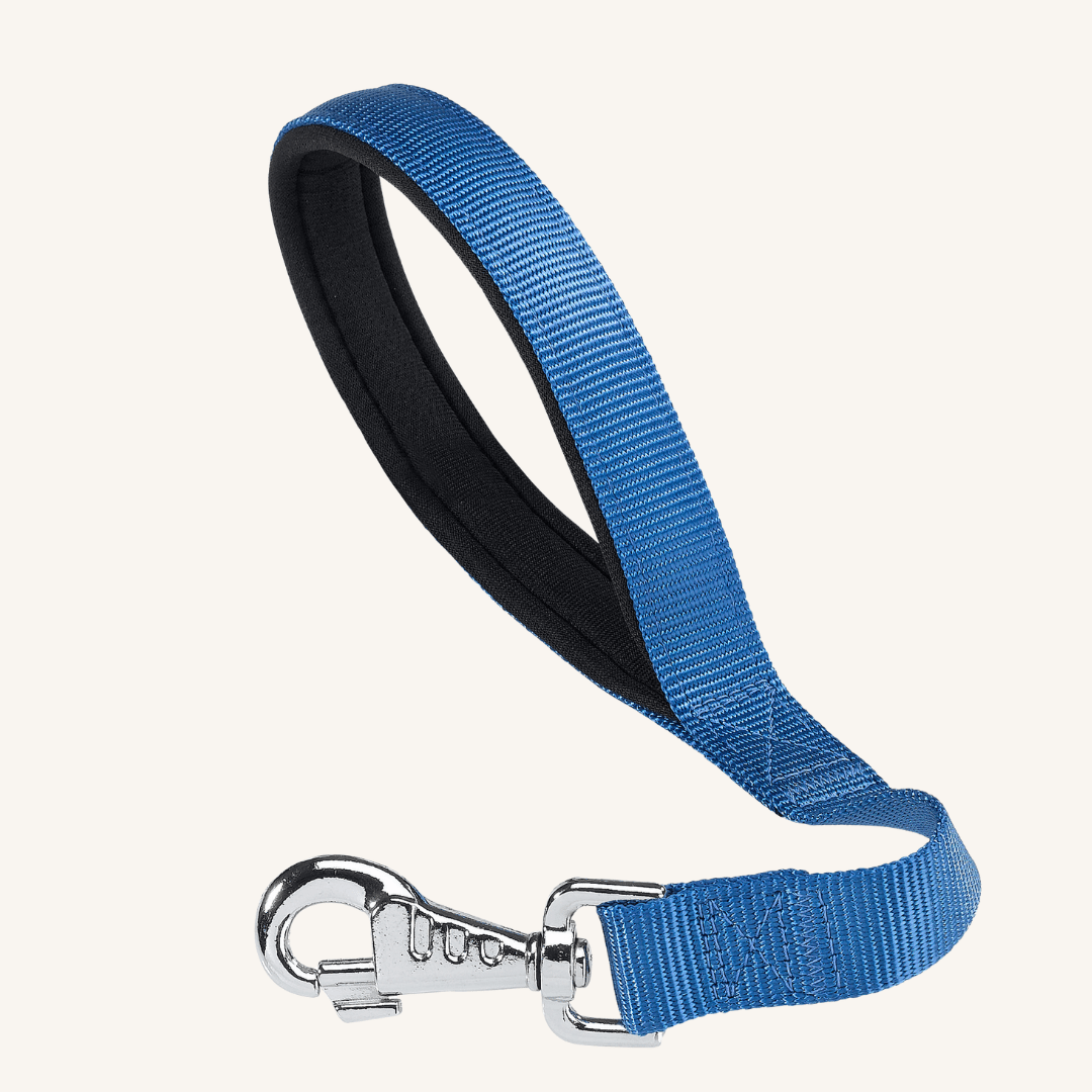 Pasji povodec Daytona 45 x 2,5 cm od Ferplast | Na voljo pri Forapet