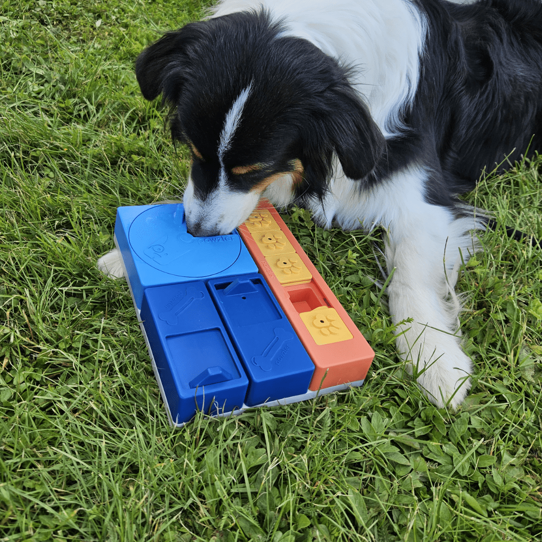 Pawzler ǀ Beginner Set od Pawzler | Na voljo pri Forapet
