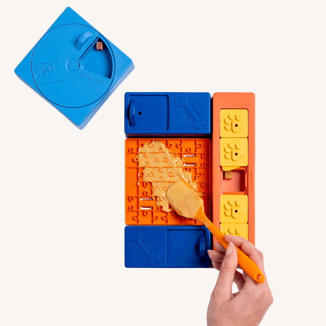 Pawzler ǀ Beginner Set od Pawzler | Na voljo pri Forapet