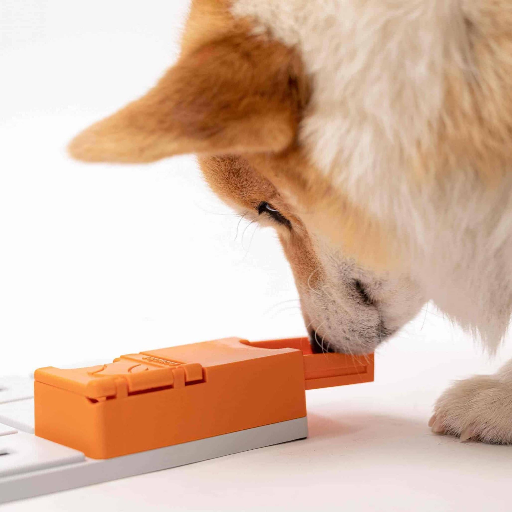 Pawzler ǀ Maya Pawzle od Pawzler | Na voljo pri Forapet