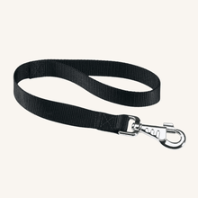 Povodec za trening Club 45 x 2,5 cm od Ferplast | Na voljo pri Forapet