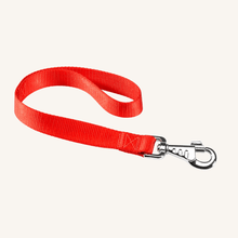 Povodec za trening Club 45 x 2,5 cm od Ferplast | Na voljo pri Forapet