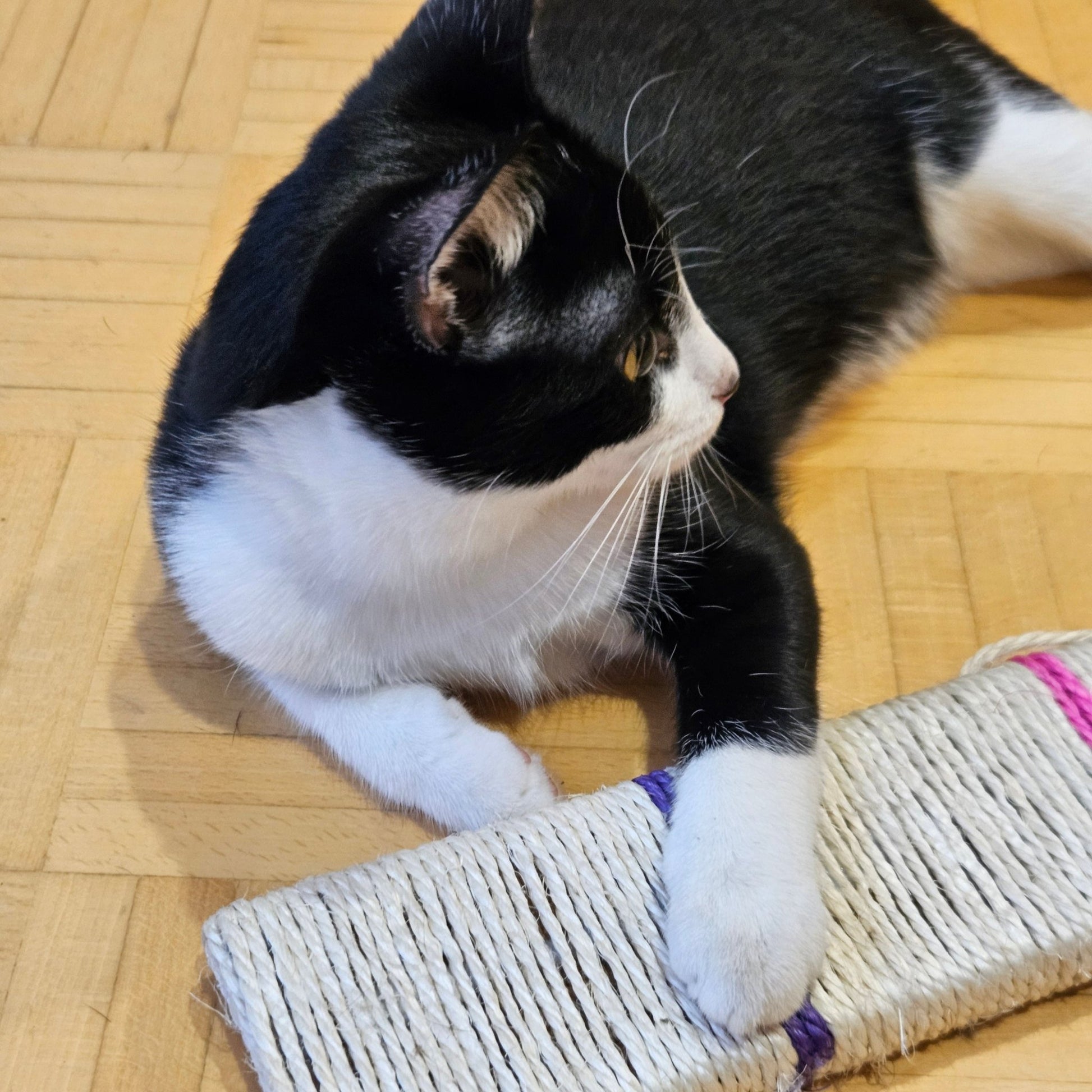 PRASKALNA DESKA 30 x 8 x 2 cm od Ferribiella | Na voljo pri Forapet