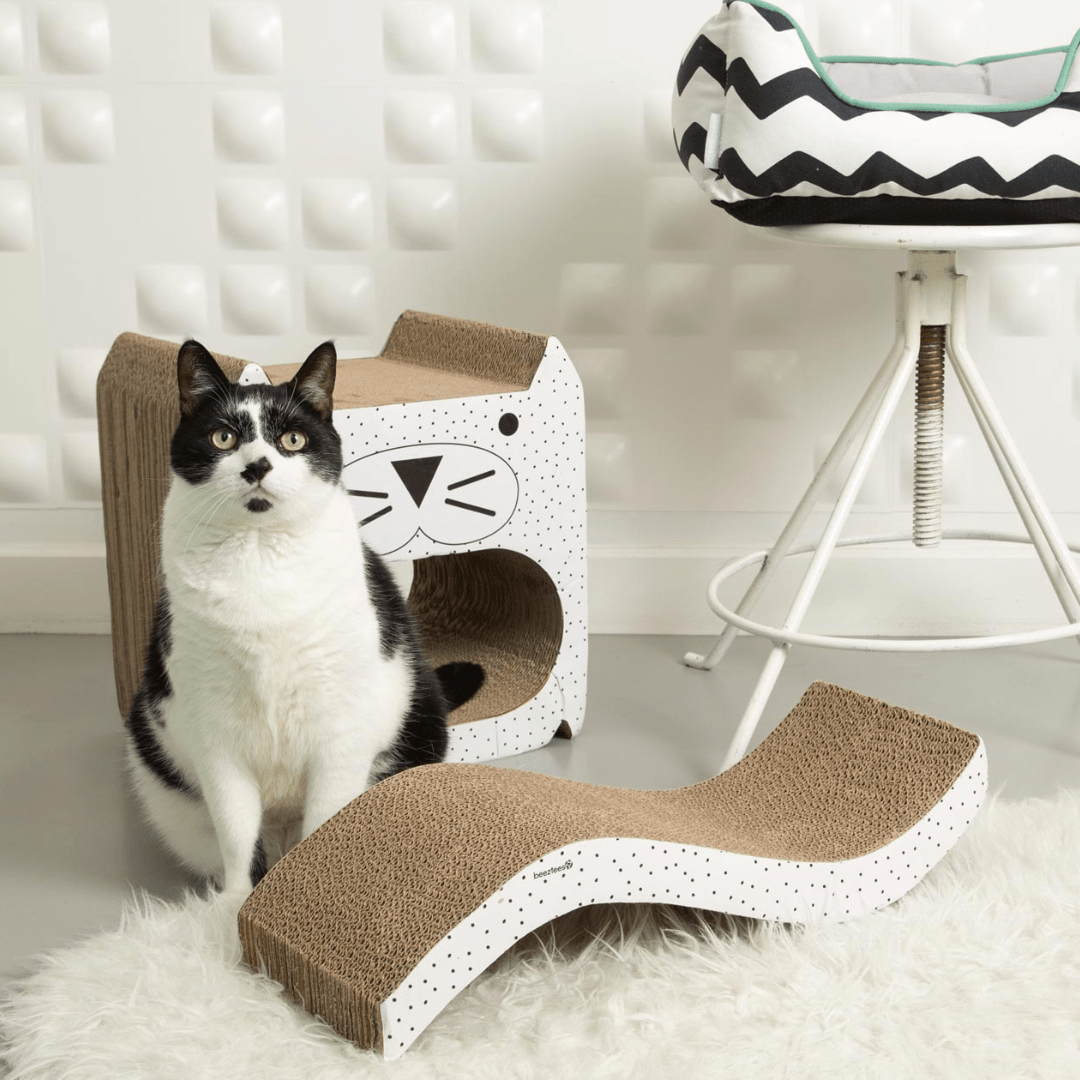 Praskalnik za mačke Wiva 52 x 21 x 10 cm od Beeztees | Na voljo pri Forapet