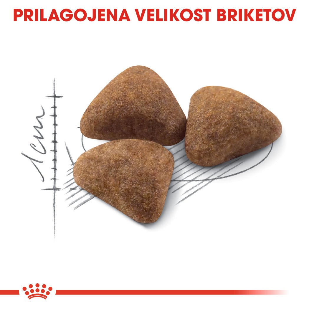 Royal Canin ǀ INDOOR mačji briketi - PERUTNINA 4 kg od Royal Canin | Na voljo pri Forapet