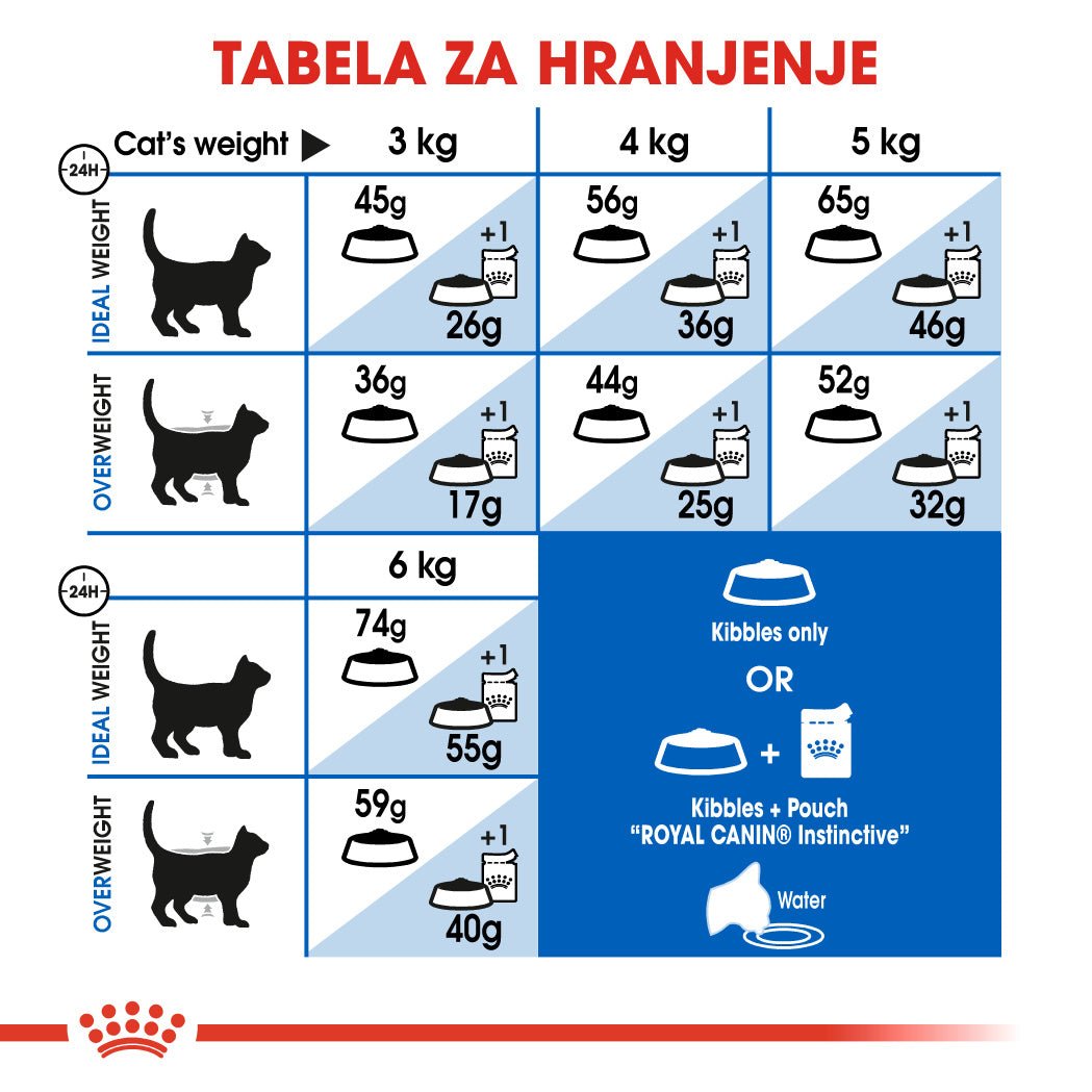 Royal Canin ǀ INDOOR mačji briketi - PERUTNINA 4 kg od Royal Canin | Na voljo pri Forapet