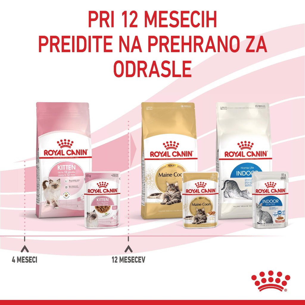 Royal Canin ǀ KITTEN mačja mokra hrana - koščki v omaki 85 g od Royal Canin | Na voljo pri Forapet