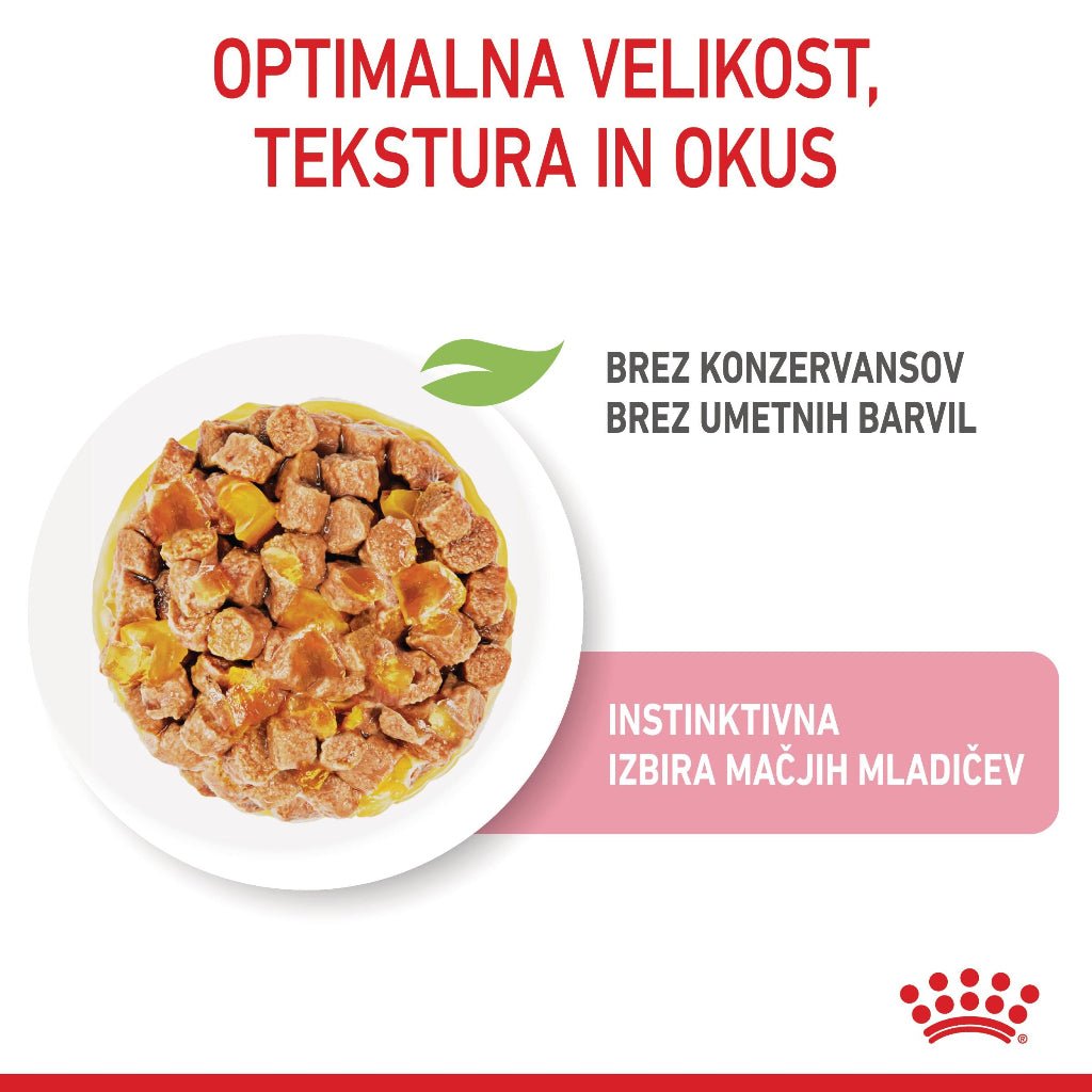 Royal Canin ǀ KITTEN mačja mokra hrana - koščki v želeju 85 g od Royal Canin | Na voljo pri Forapet