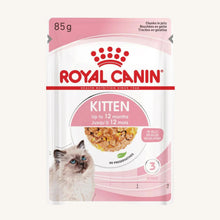 Royal Canin ǀ KITTEN mačja mokra hrana - koščki v želeju 85 g od Royal Canin | Na voljo pri Forapet