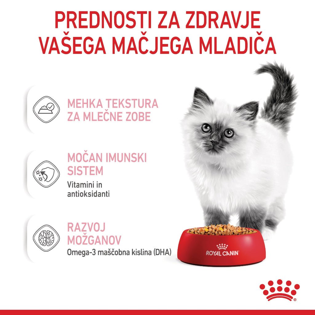 Royal Canin ǀ KITTEN mačja mokra hrana - koščki v želeju 85 g od Royal Canin | Na voljo pri Forapet