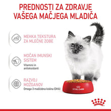 Royal Canin ǀ KITTEN mačja mokra hrana - koščki v želeju 85 g od Royal Canin | Na voljo pri Forapet