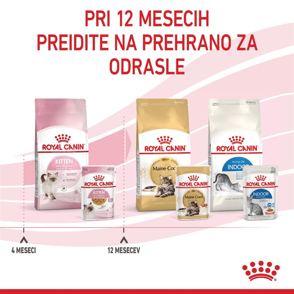 Royal Canin ǀ KITTEN mačja mokra hrana - koščki v želeju 85 g od Royal Canin | Na voljo pri Forapet