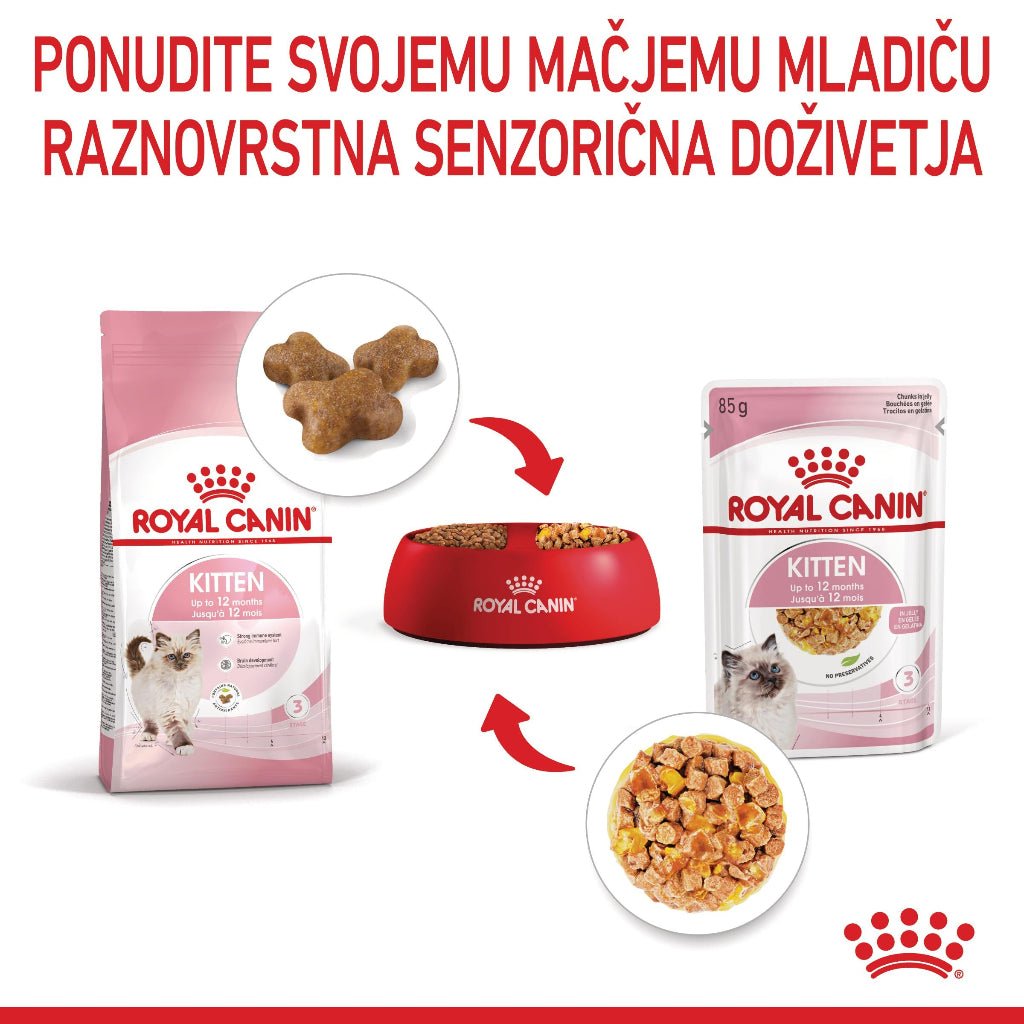 Royal Canin ǀ KITTEN mačja mokra hrana - koščki v želeju 85 g od Royal Canin | Na voljo pri Forapet
