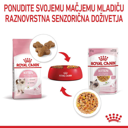 Royal Canin ǀ KITTEN mačja mokra hrana - koščki v želeju 85 g od Royal Canin | Na voljo pri Forapet